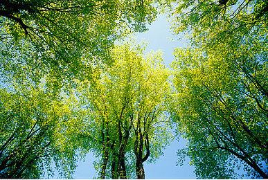 《夺宝奇兵：古老之圈》Steam商店页公开 首批截图